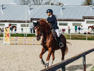 Результаты чемпионата и первенства Нижегородской области по конному спорту 